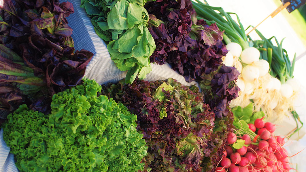 Meaford Farmers' Market