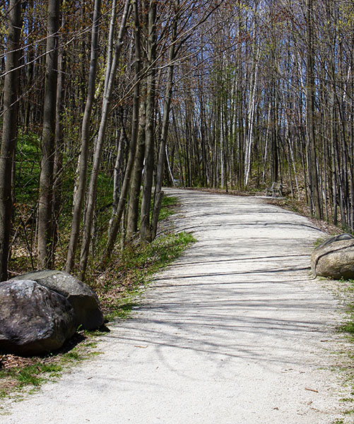 Bruce Trail