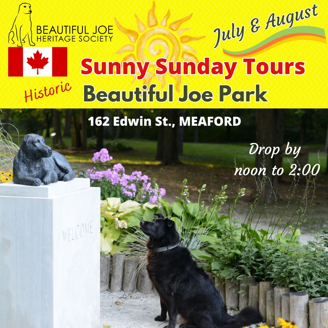 Sunny Sunday Tours of Beautiful Joe Park